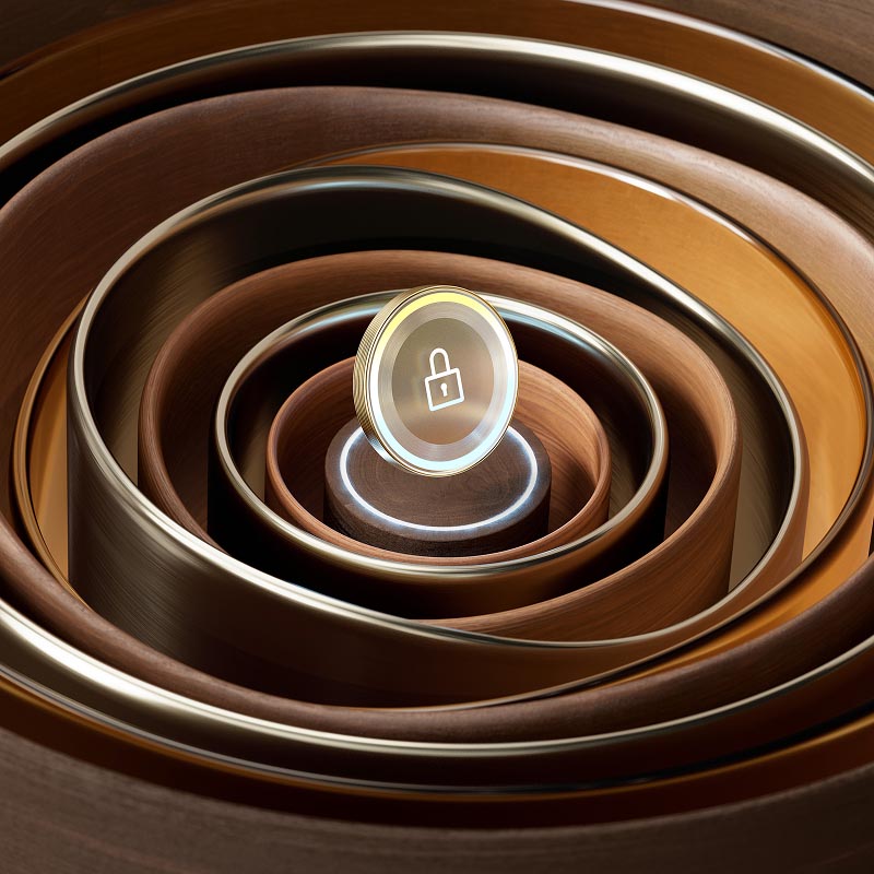 circular art with locks on them
